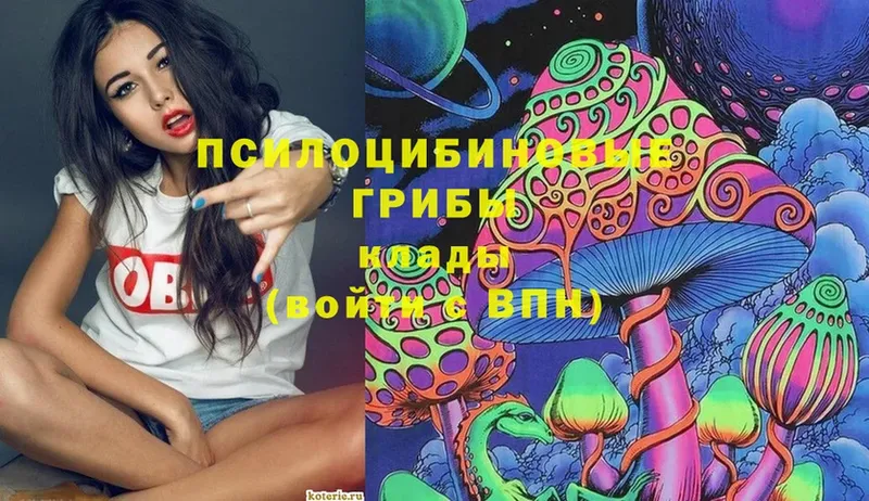 blacksprut ССЫЛКА  Петровск  Галлюциногенные грибы Magic Shrooms 